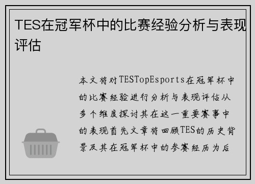 TES在冠军杯中的比赛经验分析与表现评估