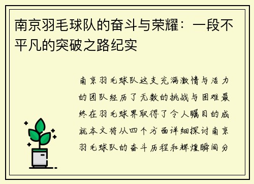 南京羽毛球队的奋斗与荣耀：一段不平凡的突破之路纪实